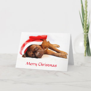 Cartão De Festividades Dogue de Bordeaux Christmas Card