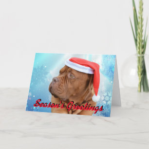 Cartão De Festividades Dogue de Bordeaux Christmas card