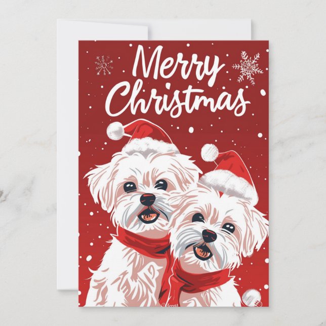 Cartão De Festividades Dois Bichon Frise Feliz Natal (Frente)