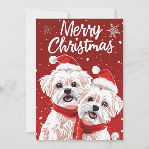 Cartão De Festividades Dois Bichon Frise Feliz Natal