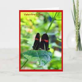 Cartão De Festividades Dois Corações Bater Como Um.