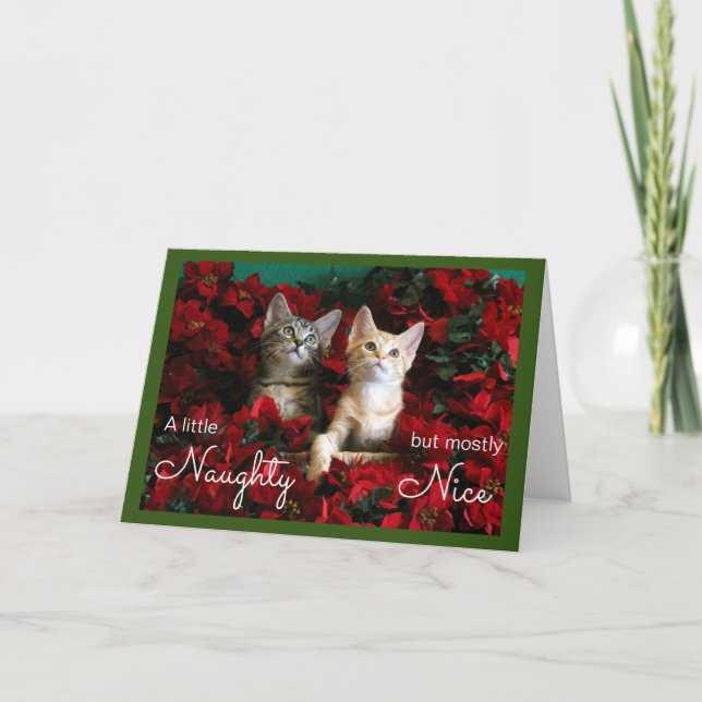 Cartão De Festividades Dois gatinhos malvados e bonitos em Poinsettias (Frente)