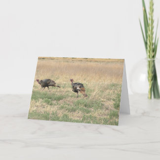 Cartão De Festividades Dois Gobblers