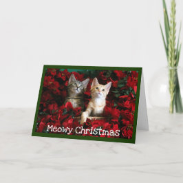 Cartão De Festividades Dois Kittens e Poinsettias