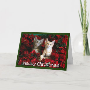 Cartão De Festividades Dois Kittens e Poinsettias