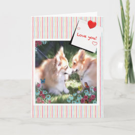 Cartão De Festividades Dois Namorados Corgis