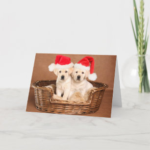 Cartão De Festividades Dois Puppies de Natal de Laboratório Amarelo