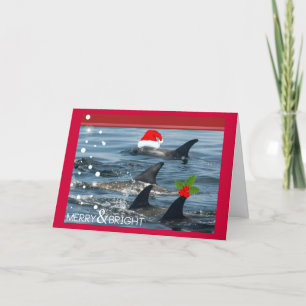 Cartão De Festividades dolphins Merry and bright happy holiday Card