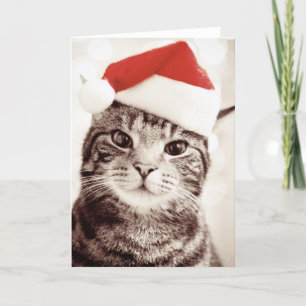 Cartão De Festividades Domestic tabby cat wearing red Christmas hat