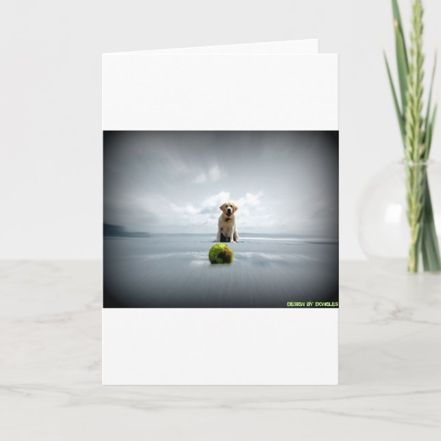 Cartão De Festividades Dongles e ball.jpg (Frente)