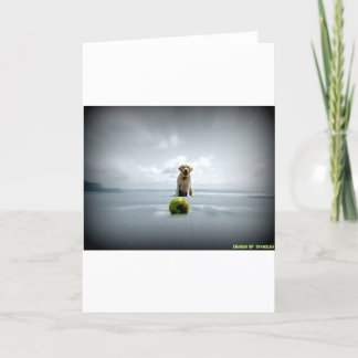 Cartão De Festividades Dongles e ball.jpg