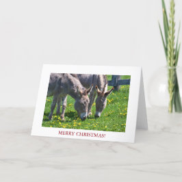 Cartão De Festividades Donkey Animal