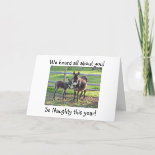 CARTÃO DE FESTIVIDADES DONKEY HUMOR WHERE YOU-NAUGHTY THIS YEAR