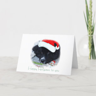 Cartão De Festividades Dons de Natal da Paw, papais noeis