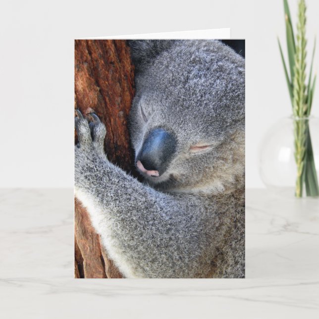 Cartão De Festividades Dormindo Koala (Frente)