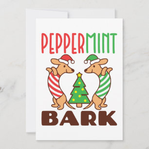 Cartão De Festividades Doxie Cachorro de Natal Peppermint Bark Fofo