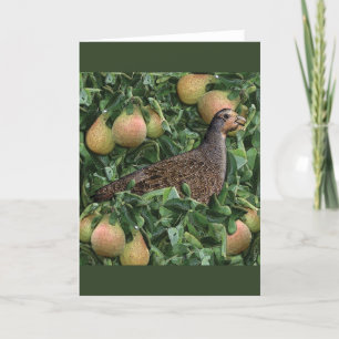 Cartão De Festividades Doze dias de Natal - Partucho em uma árvore de per