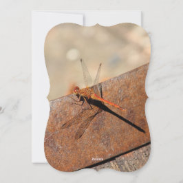 Cartão De Festividades Dragonfly Design com Brown