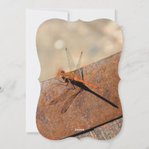 Cartão De Festividades Dragonfly Design com Brown