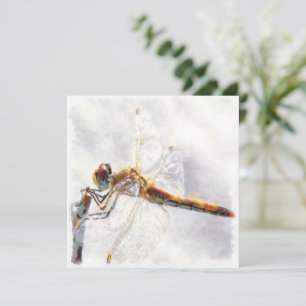 Cartão De Festividades Dragonfly Watercolor Pastel Fundo Branco