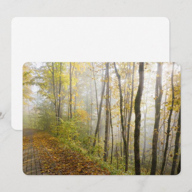 Cartão De Festividades Dreamy autumn park (Frente/Verso)