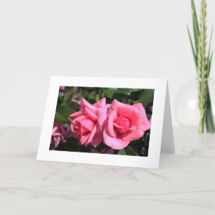 Cartão De Festividades duas rosas perfeitas cor de rosa quente. amor
