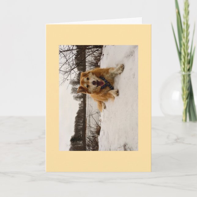 Cartão De Festividades Ducati o Cão Maravilha (Frente)