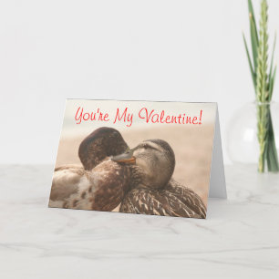Cartão De Festividades Ducks Funny Still My Valentines Card