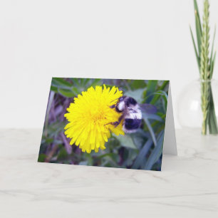 Cartão De Festividades É O Meu Namorados?