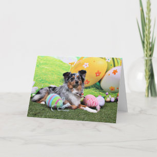 Cartão De Festividades Easter - Australian Shepherd - Silas Barker
