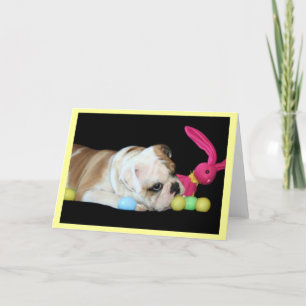 Cartão De Festividades Easter Bulldog greeting card