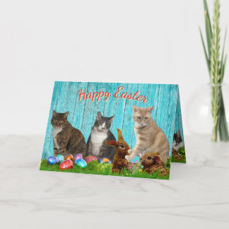 Cartão De Festividades Easter Card - Cats and Bunnies