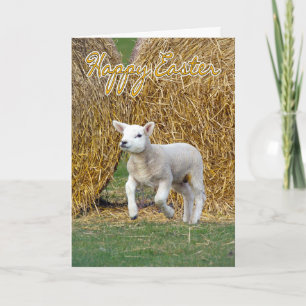 Cartão De Festividades Easter Card With Spring Lamb
