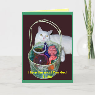Cartão De Festividades Easter Cat Card