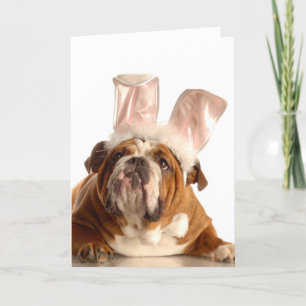 Cartão De Festividades Easter Dog Greeting Card
