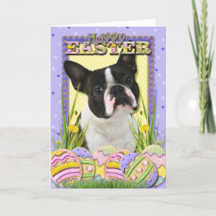 Cartão De Festividades Easter Egg Cookies - Boston Terrier