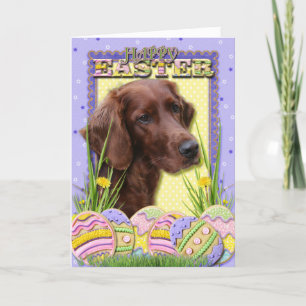Cartão De Festividades Easter Egg Cookies - Irish Setter