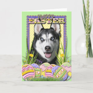 Cartão De Festividades Easter Egg Cookies - Siberian Husky