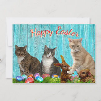 Cartão De Festividades Easter Flat Card - Cats and Bunnies