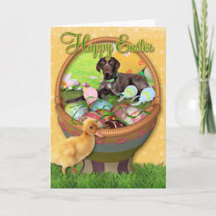Cartão De Festividades Easter - German Shorthair Pointer - Kaiser