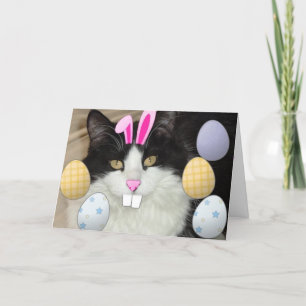 Cartão De Festividades Easter Kitty Humor