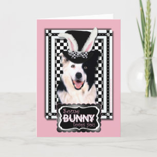 Cartão De Festividades Easter - Some Bunny Loves You - Border Collie
