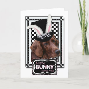 Cartão De Festividades Easter - Some Bunny Loves You - Irish Setter