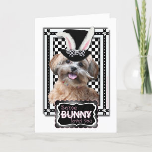 Cartão De Festividades Easter - Some Bunny Loves You - ShihPoo