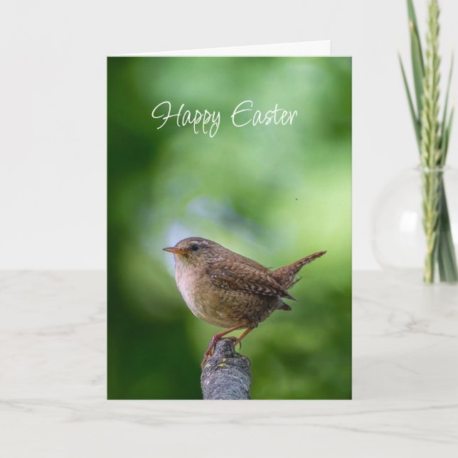Cartão De Festividades Easter Spring Wren Bird Joy Happiness Wishes (Frente)