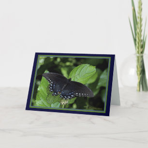 Cartão De Festividades Eastern Tiger Swallowtail-Black female