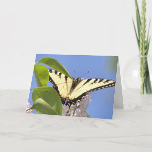 Cartão De Festividades Eastern Tiger Swallowtail takes flight