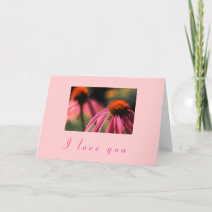 Cartão De Festividades "Echinacea I Love You"