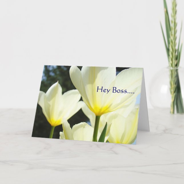 Cartão De Festividades Ei Chefe FELIZ FELIZ MERRY Natal para Você! (Frente)