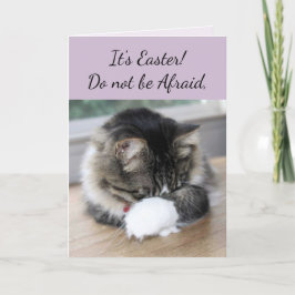 Cartão De Festividades Ele Tem Placa De Páscoa Risen Kitten